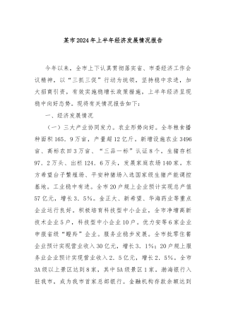 某市2024年上半年经济发展情况报告