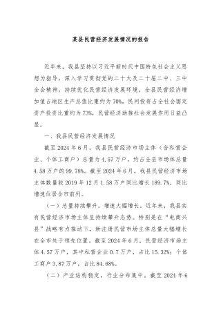 某县民营经济发展情况的报告