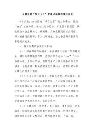 乡镇坚持“项目为王”查堵点解难题情况报告