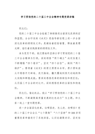 学习贯彻党的二十届三中全会精神专题党课讲稿