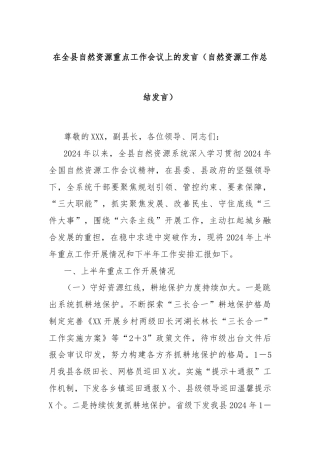 在全县自然资源重点工作会议上的发言（自然资源工作总结发言）