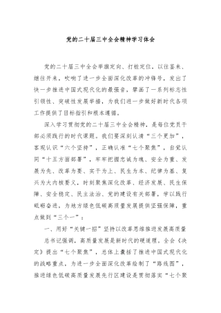 党的二十届三中全会精神学习体会