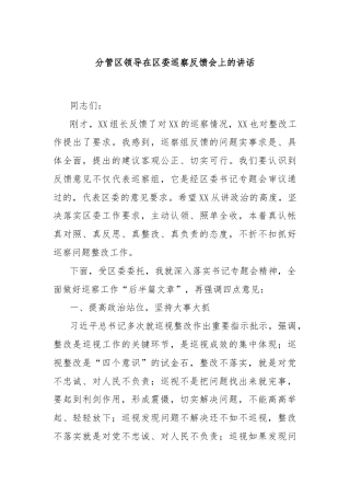 分管区领导在区委巡察反馈会上的讲话