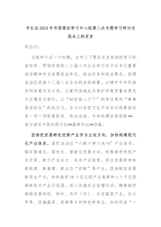 市长在2024年市委理论学习中心组第八次专题学习研讨交流会上的发言