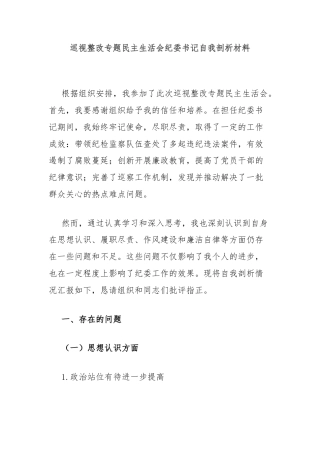 巡视整改专题民主生活会纪委书记自我剖析材料