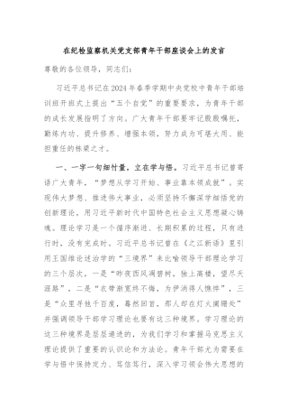 在纪检监察机关党支部青年干部座谈会上的发言