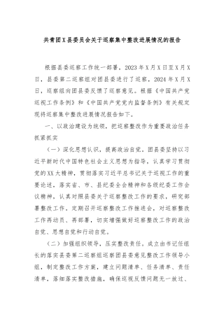 共青团X县委员会关于巡察集中整改进展情况的报告