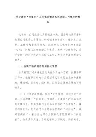 关于建立“网格化”工作体系推进思想政治工作情况的报告