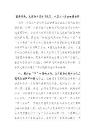 县委常委、政法委书记学习党的二十届三中全会精神感悟