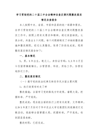学习贯彻党的二十届三中全会精神自查反馈问题整改落实情况