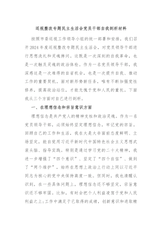 巡视整改专题民主生活会党员干部自我剖析材料