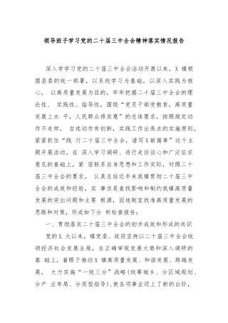 领导班子学习党的二十届三中全会精神落实情况报告
