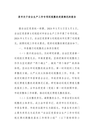 某市关于安全生产工作专项巡视整改进展情况的报告