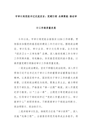 市审计局党组书记交流发言：党建引领 品牌聚能 推动审计工作高质量发展