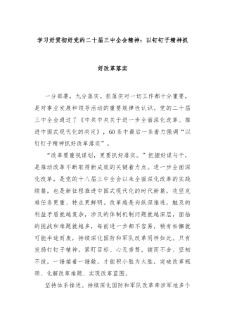 学习好贯彻好党的二十届三中全会精神：以钉钉子精神抓好改革落实