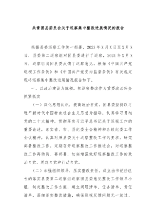 共青团县委员会关于巡察集中整改进展情况的报告