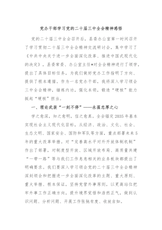 党办干部学习党的二十届三中全会精神感悟