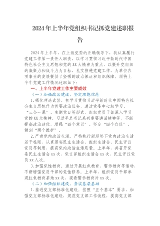 2024年上半年党组织书记抓党建述职报告