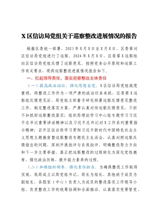X区信访局党组关于巡察整改进展情况的报告