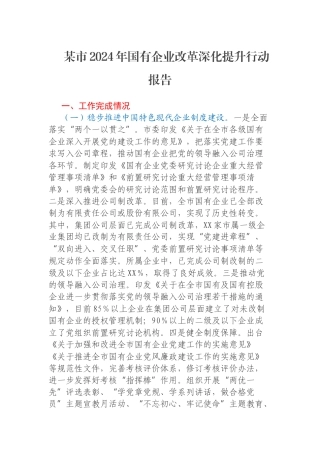 某市2024年国有企业改革深化提升行动报告