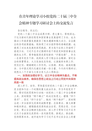 在青年理论学习小组党的二十届三中全会精神专题学习研讨会上的交流发言