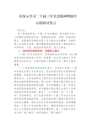 在深入学习二十届三中全会精神理论中心组研讨发言