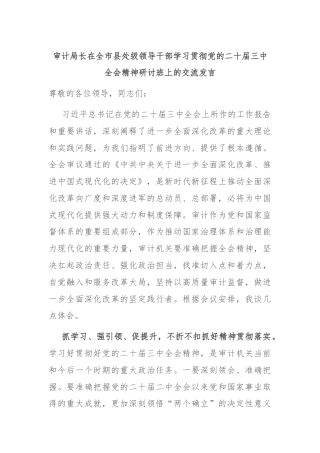 审计局长在全市县处级领导干部学习贯彻党的二十届三中全会精神研讨班上的交流发言