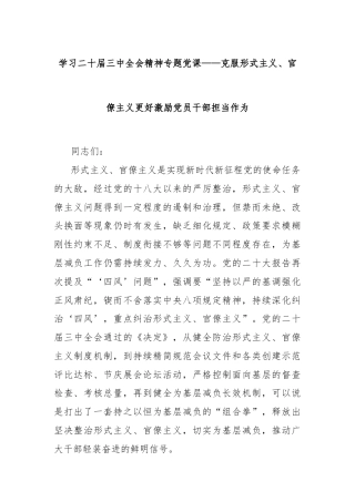 学习二十届三中全会精神专题党课——克服形式主义、官僚主义更好激励党员干部担当作为
