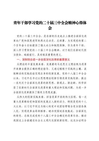 青年干部学习党的二十届三中全会精神心得体会