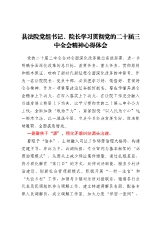县法院党组书记、院长学习贯彻党的二十届三中全会精神心得体会