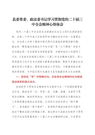 县委常委、政法委书记学习贯彻党的二十届三中全会精神心得体会
