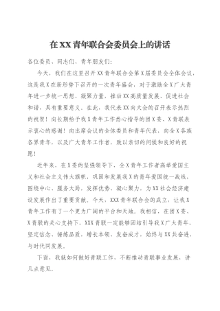 在XX青年联合会委员会上的讲话