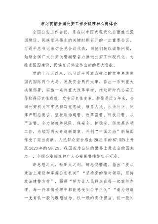学习贯彻全国公安工作会议精神心得体会