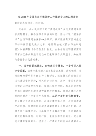 在2024年全县生态环境保护工作推进会上的汇报发言