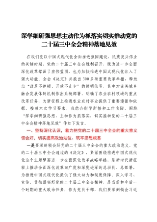 深学细研强思想主动作为抓落实切实推动党的二十届三中全会精神落地见效