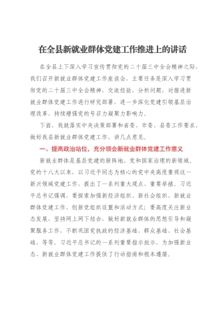 在全县新就业群体党建工作推进上的讲话