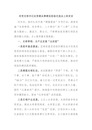 村党支部书记在党建品牌建设经验交流会上的发言