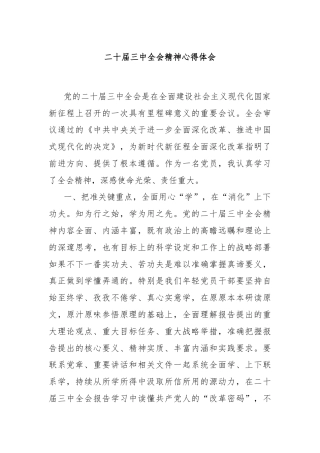 二十届三中全会精神心得体会