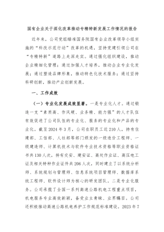 国有企业关于深化改革推动专精特新发展工作情况的报告