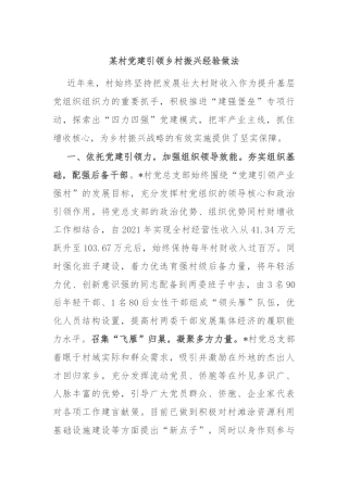 某村党建引领乡村振兴经验做法