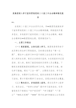 某集团深入学习宣传贯彻党的二十届三中全会精神情况报告