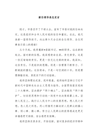 新任领导表态发言