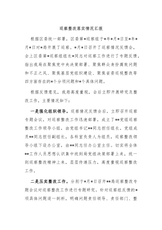 巡察整改落实情况汇报