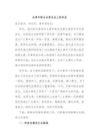 在青年联合会委员会上的讲话