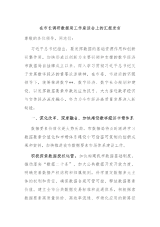 在市长调研数据局工作座谈会上的汇报发言