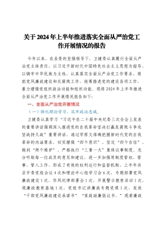 关于2024年上半年推进落实全面从严治党工作开展情况的报告