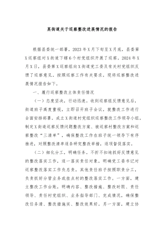 某街道关于巡察整改进展情况的报告
