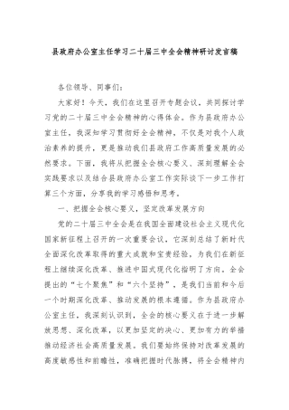 县政府办公室主任学习二十届三中全会精神研讨发言稿