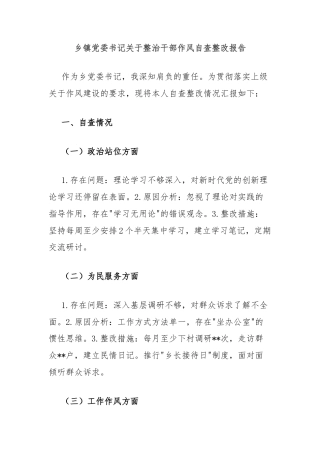 乡镇党委书记关于整治干部作风自查整改报告