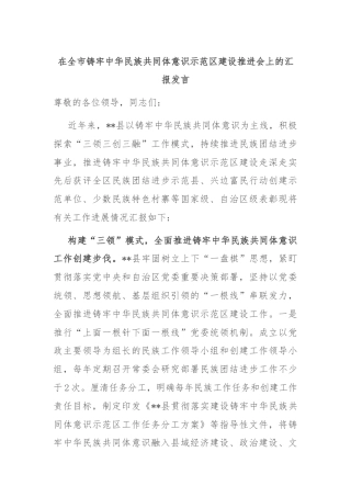 在全市铸牢中华民族共同体意识示范区建设推进会上的汇报发言